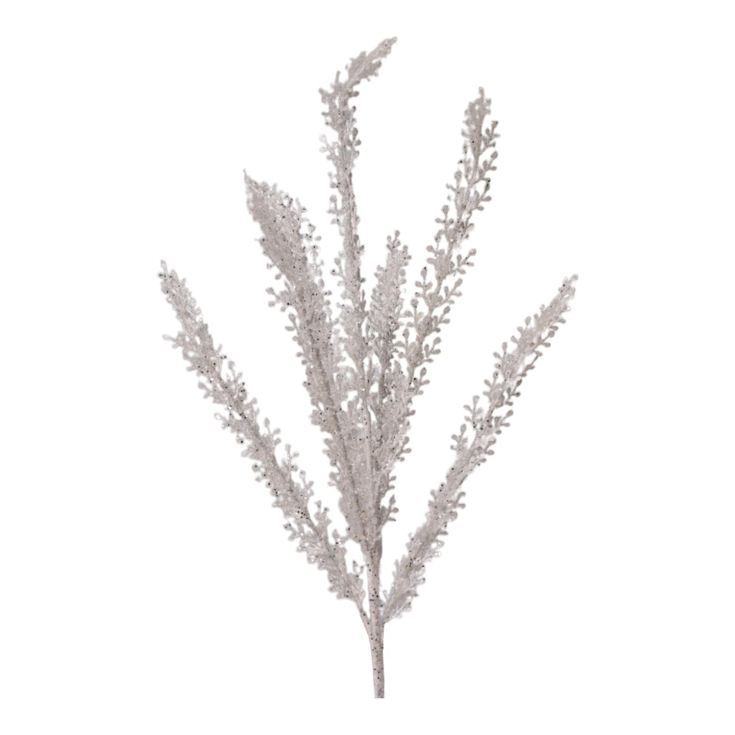 Espiga Blanca Brillo