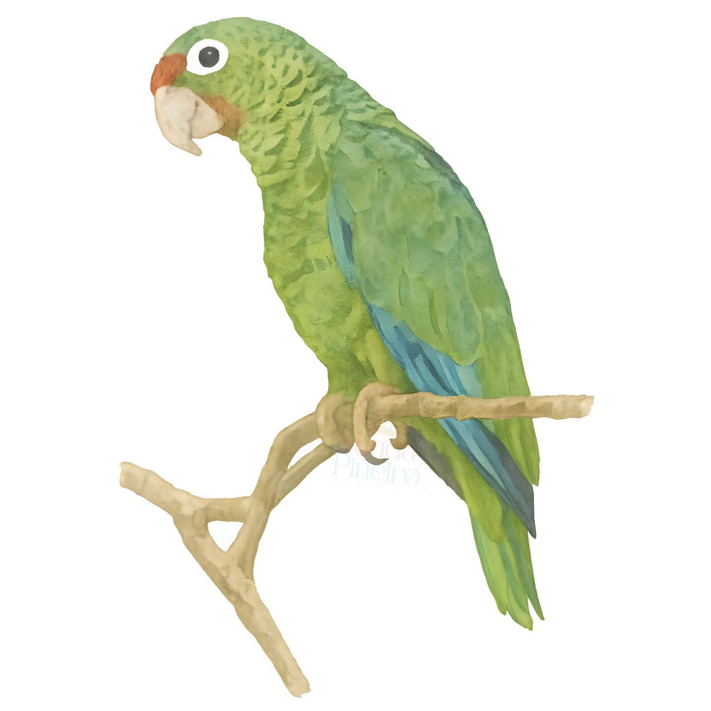 Cotorra Puertorriqueña