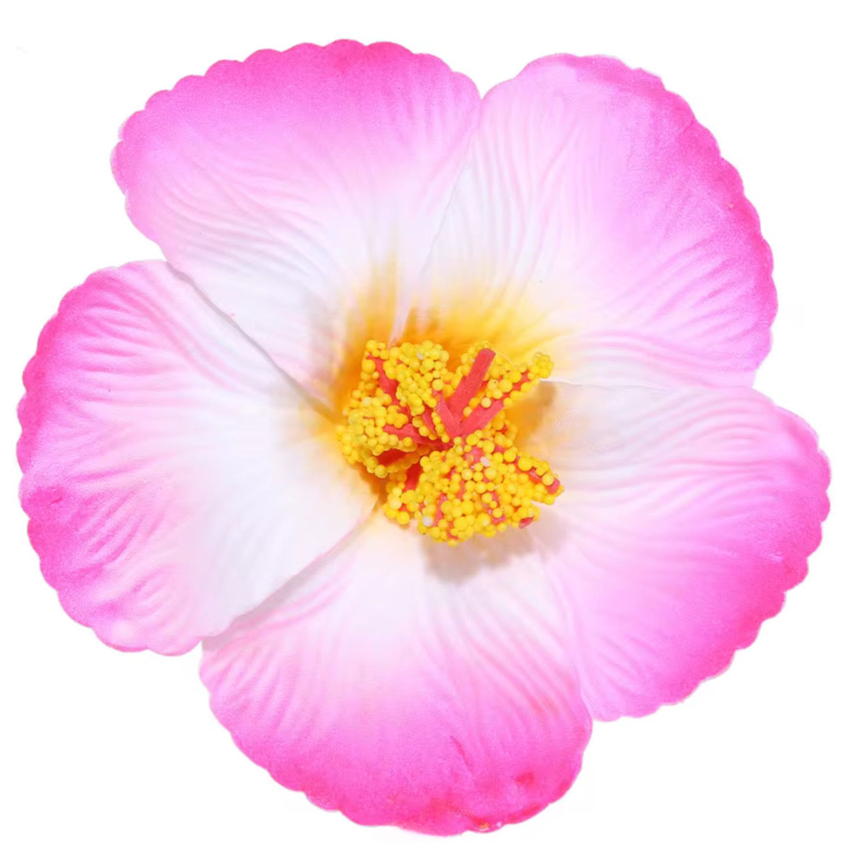 Flor Maga Clip
