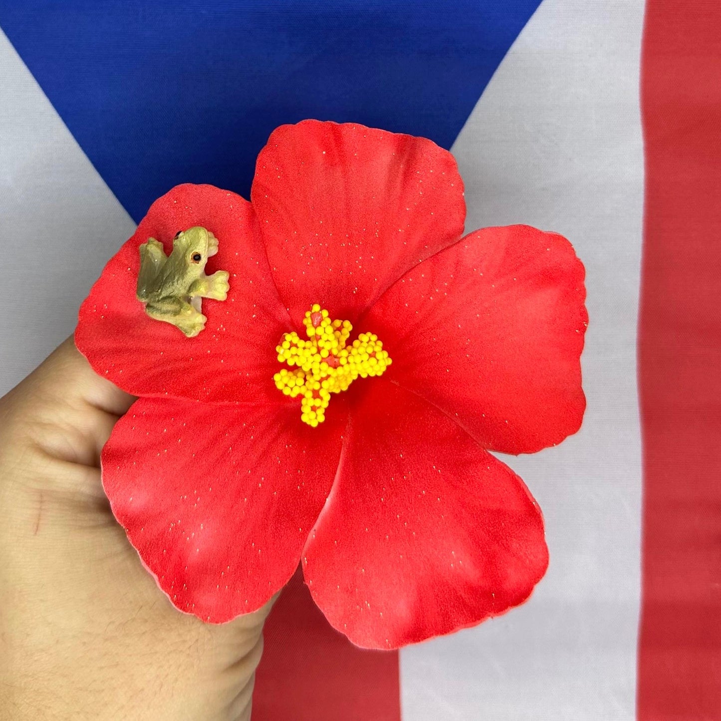 Flor Maga/Coquí