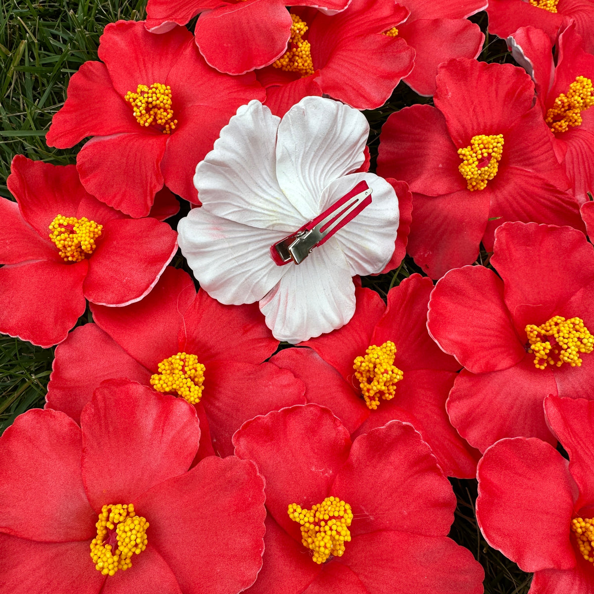 Flor Maga Clip