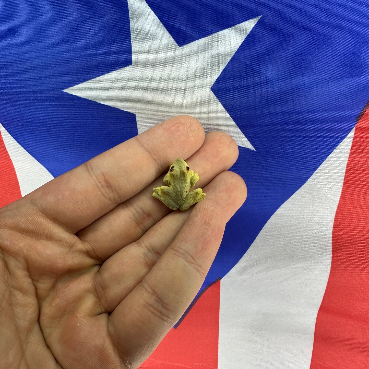 Coquí Cerámica