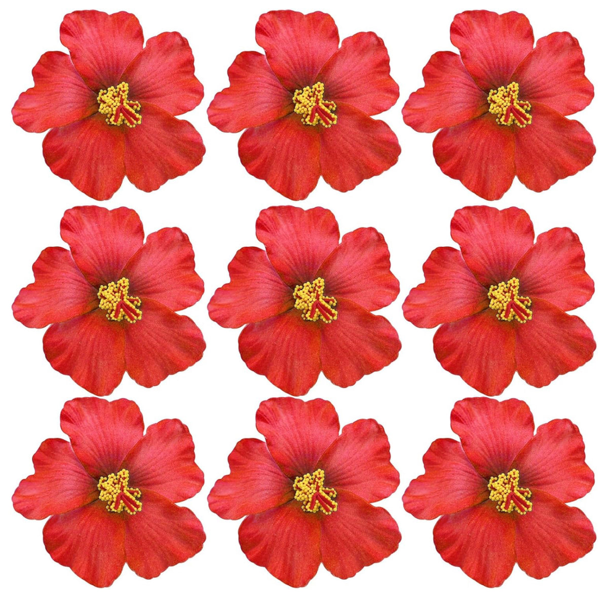 Flor Maga Clip