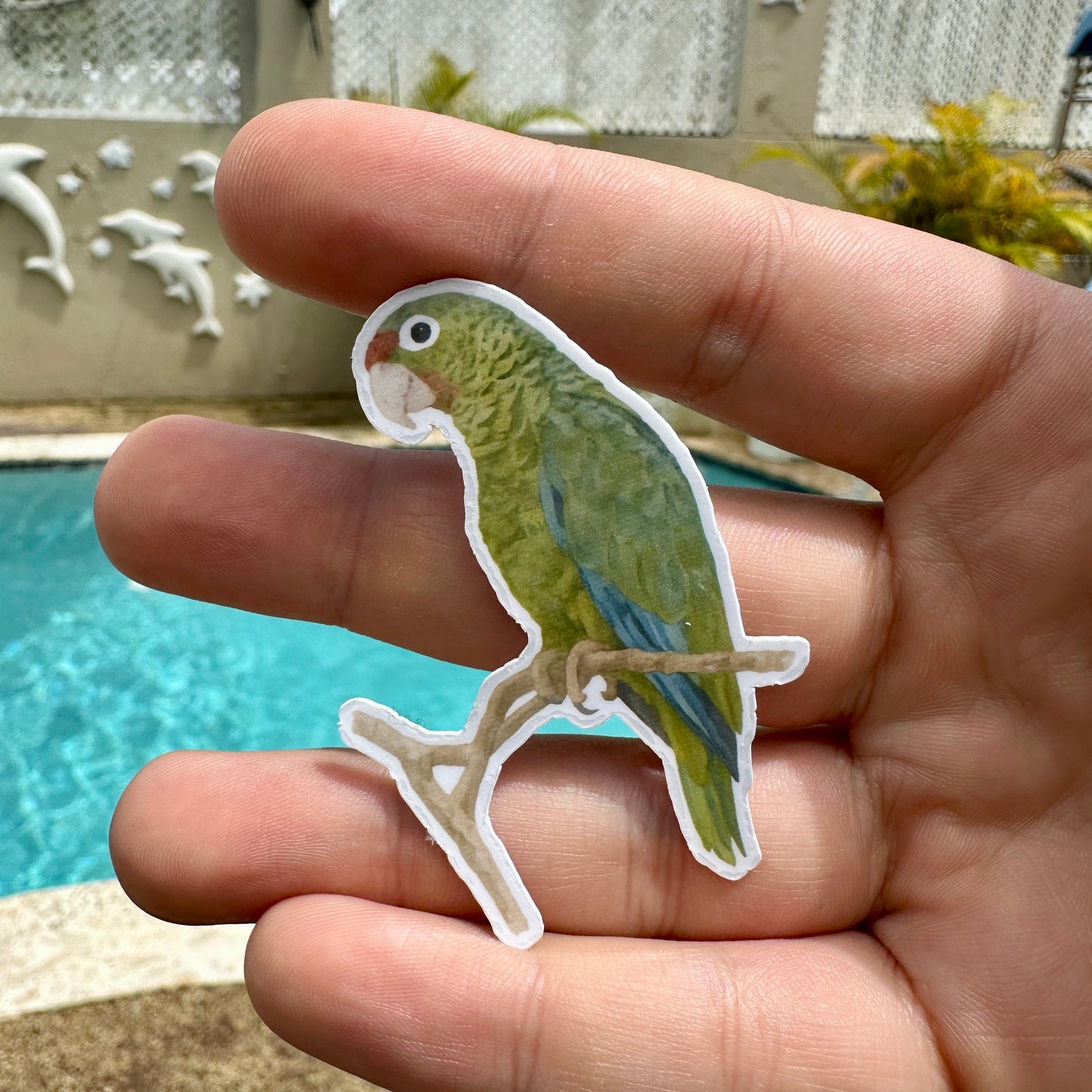 Cotorra Puertorriqueña