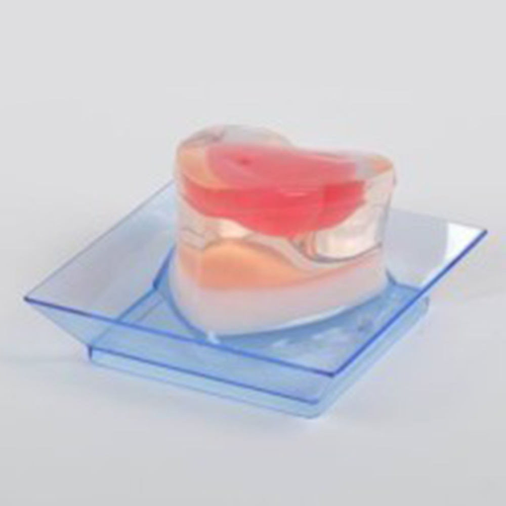 Plato Mini Cuadrado 2.5"