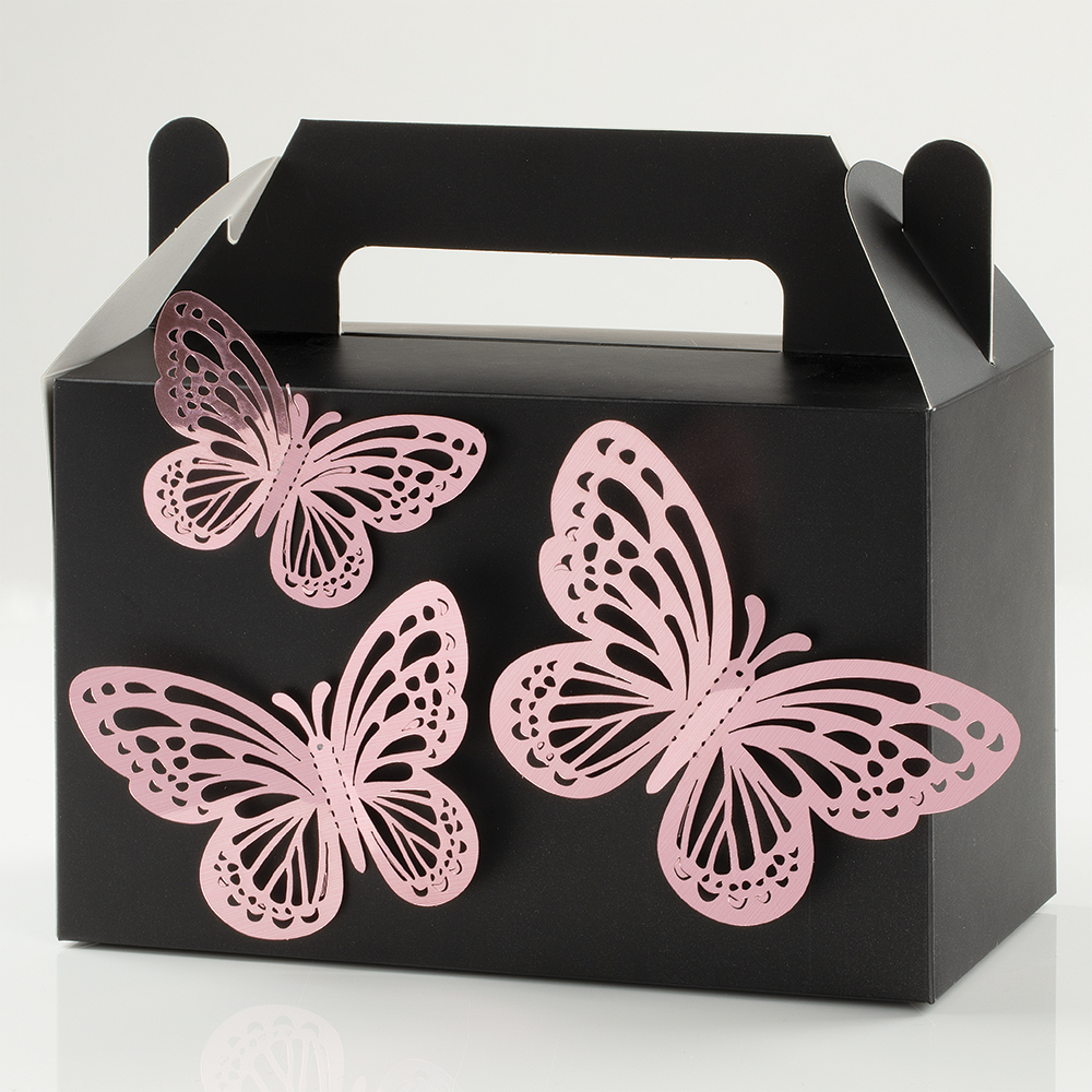 Mariposas Nuevas 2
