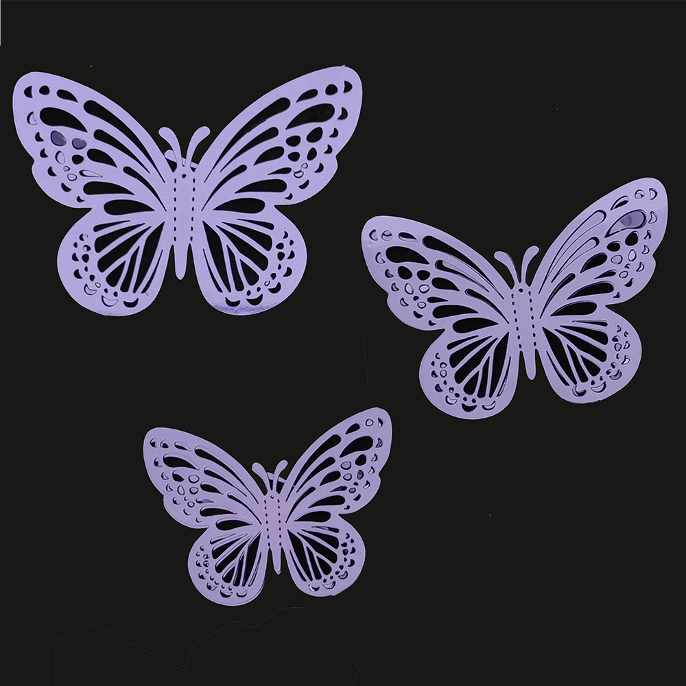 Mariposas Nuevas 2
