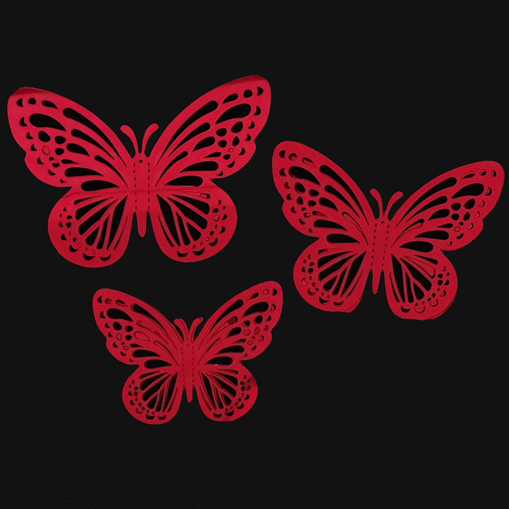 Mariposas Nuevas 2