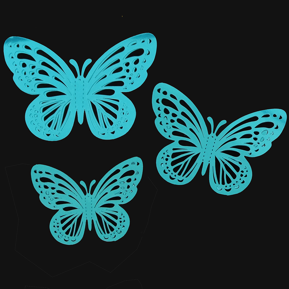 Mariposas Nuevas 2