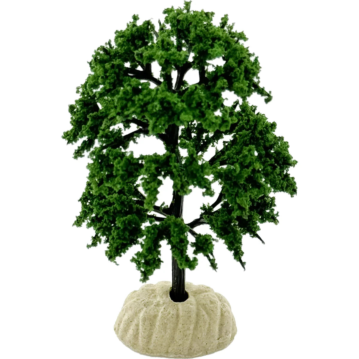 Árbol Cipres