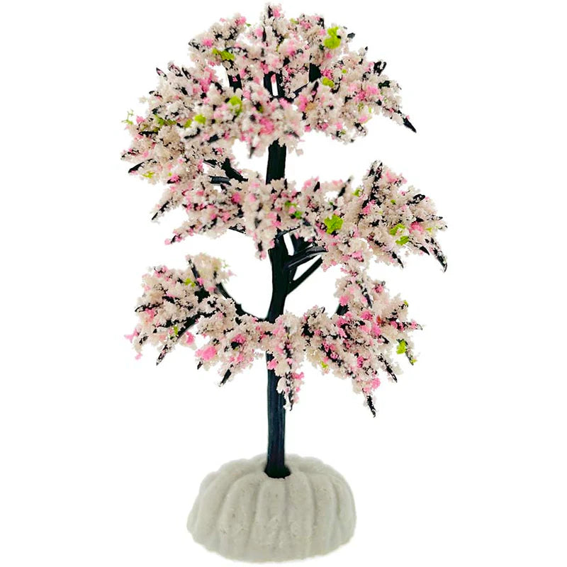 Cherry Blossom