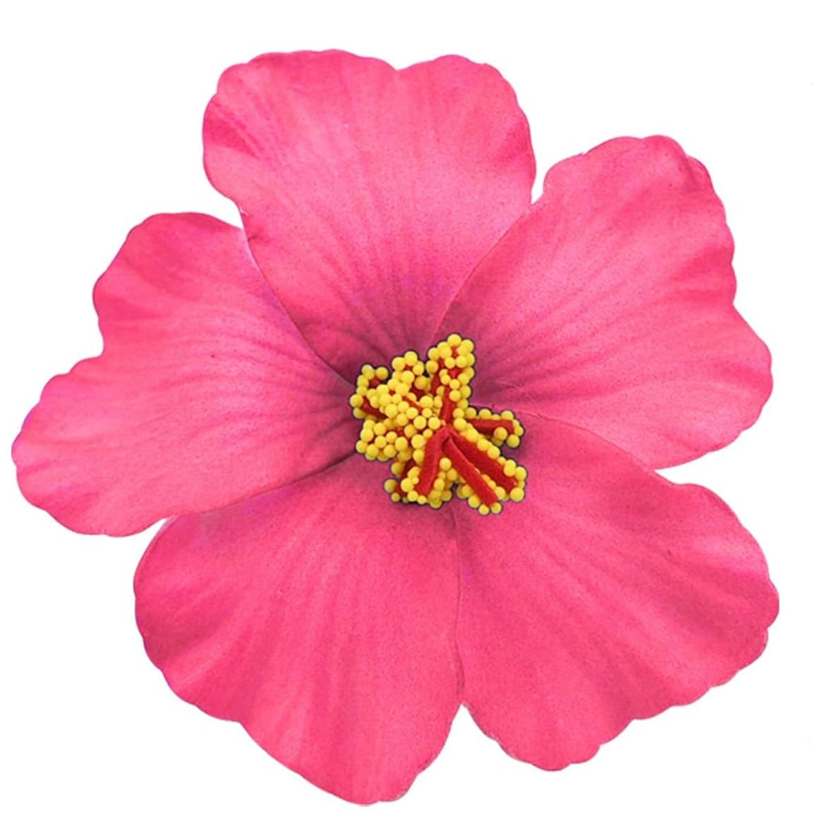 Flor Maga Clip