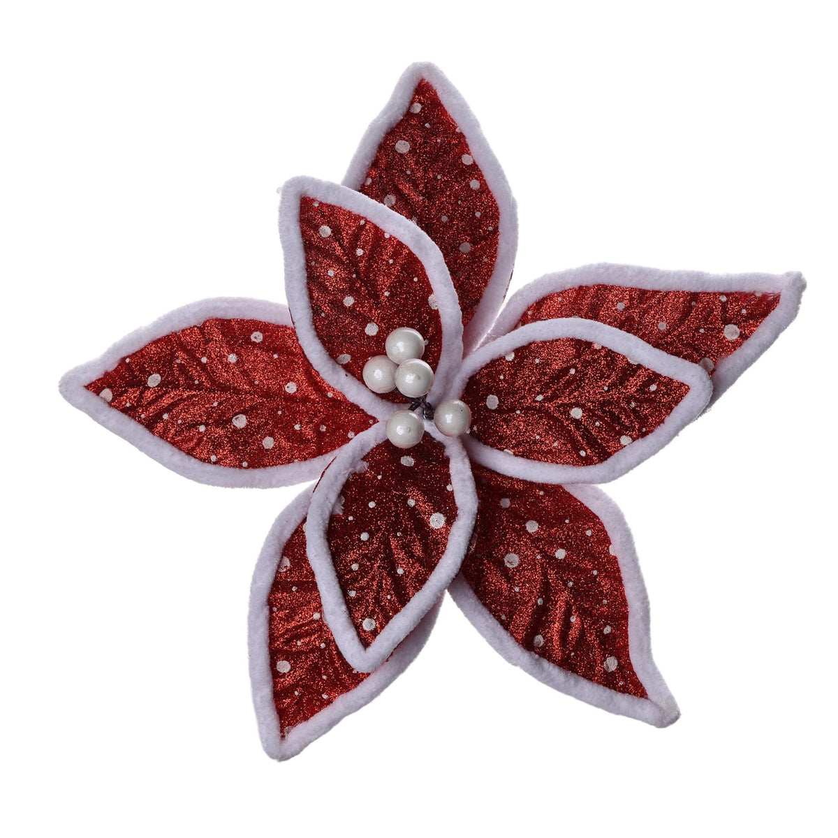 Pascua Red/White