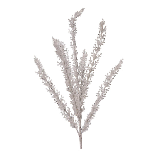 Espiga Blanca Brillo