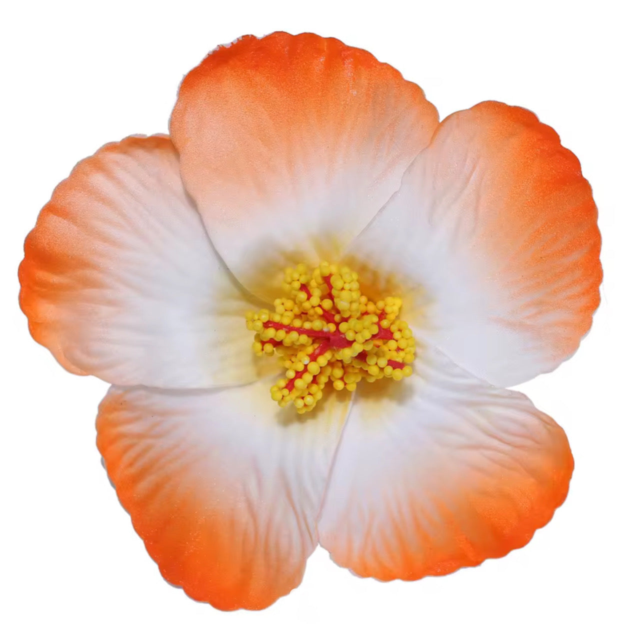 Flor Maga Clip