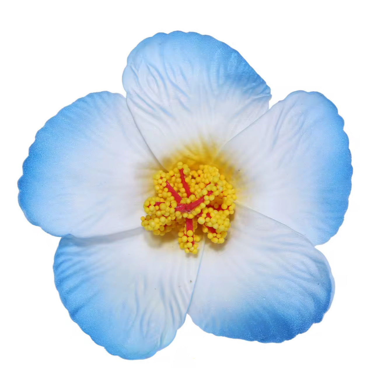 Flor Maga Clip