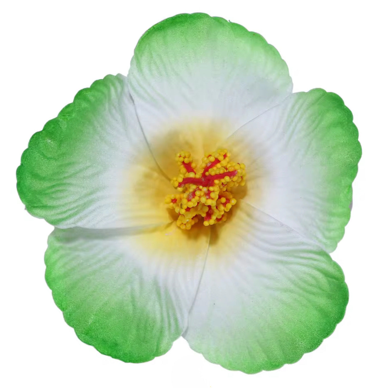 Flor Maga Clip