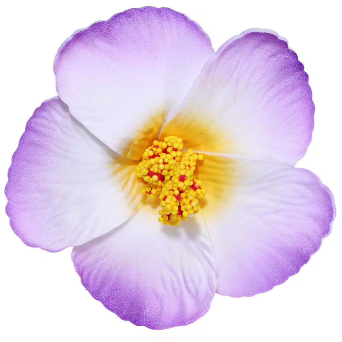 Flor Maga Clip