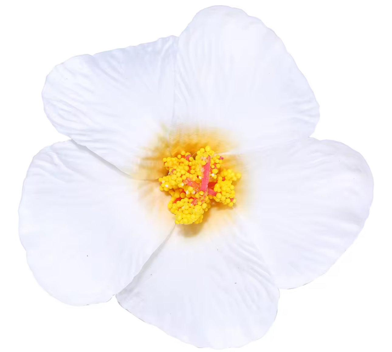 Flor Maga Clip