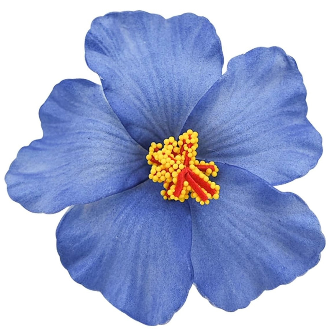 Flor Maga Clip