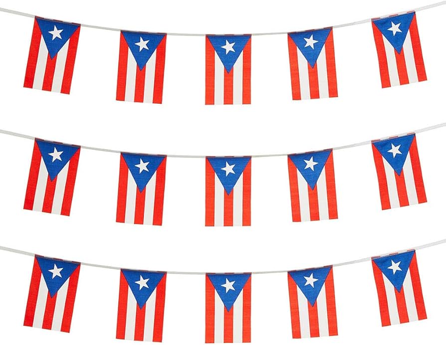 Banner Bandera Puerto Rico