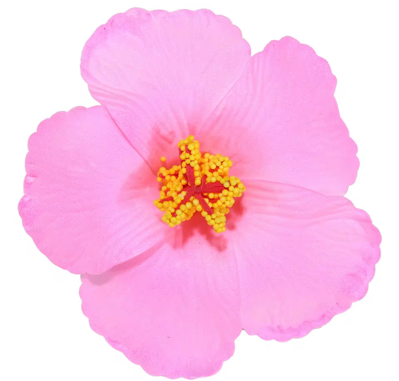 Flor Maga Clip