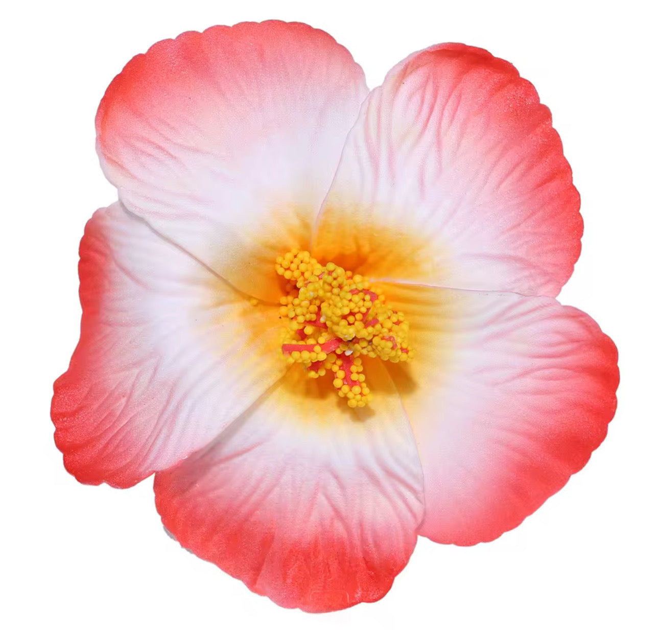 Flor Maga Clip