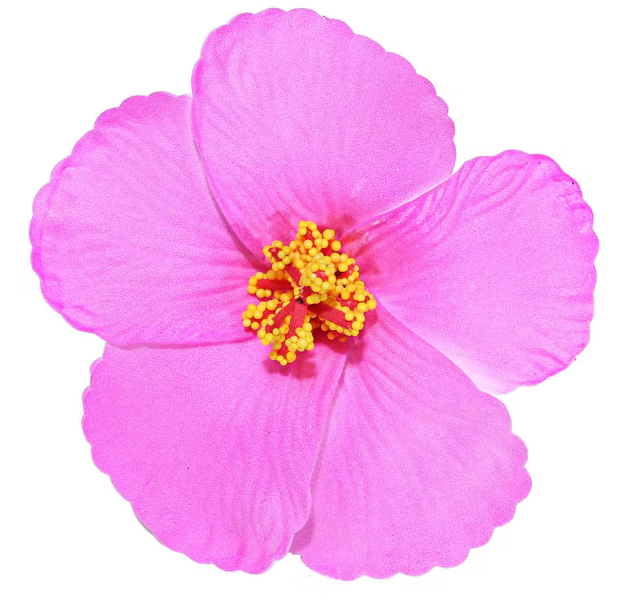 Flor Maga Clip