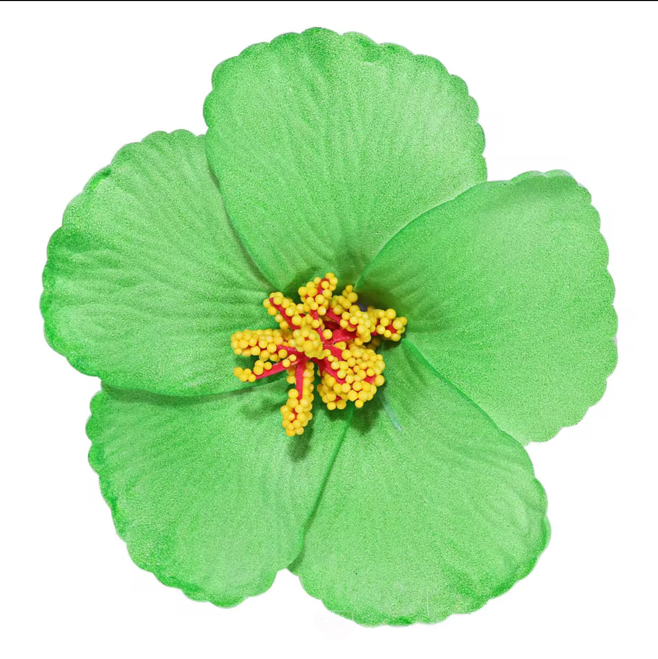 Flor Maga Clip