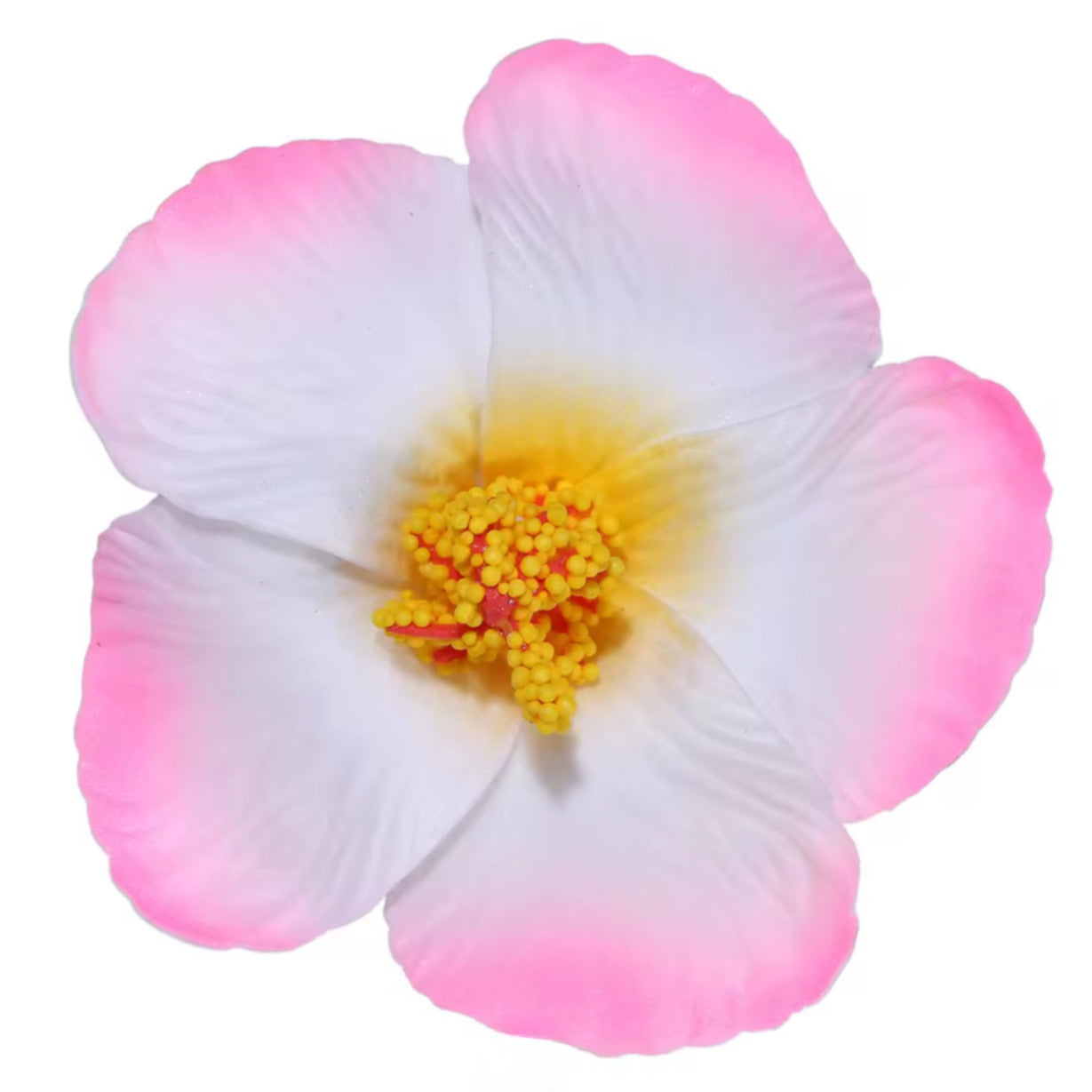 Flor Maga Clip